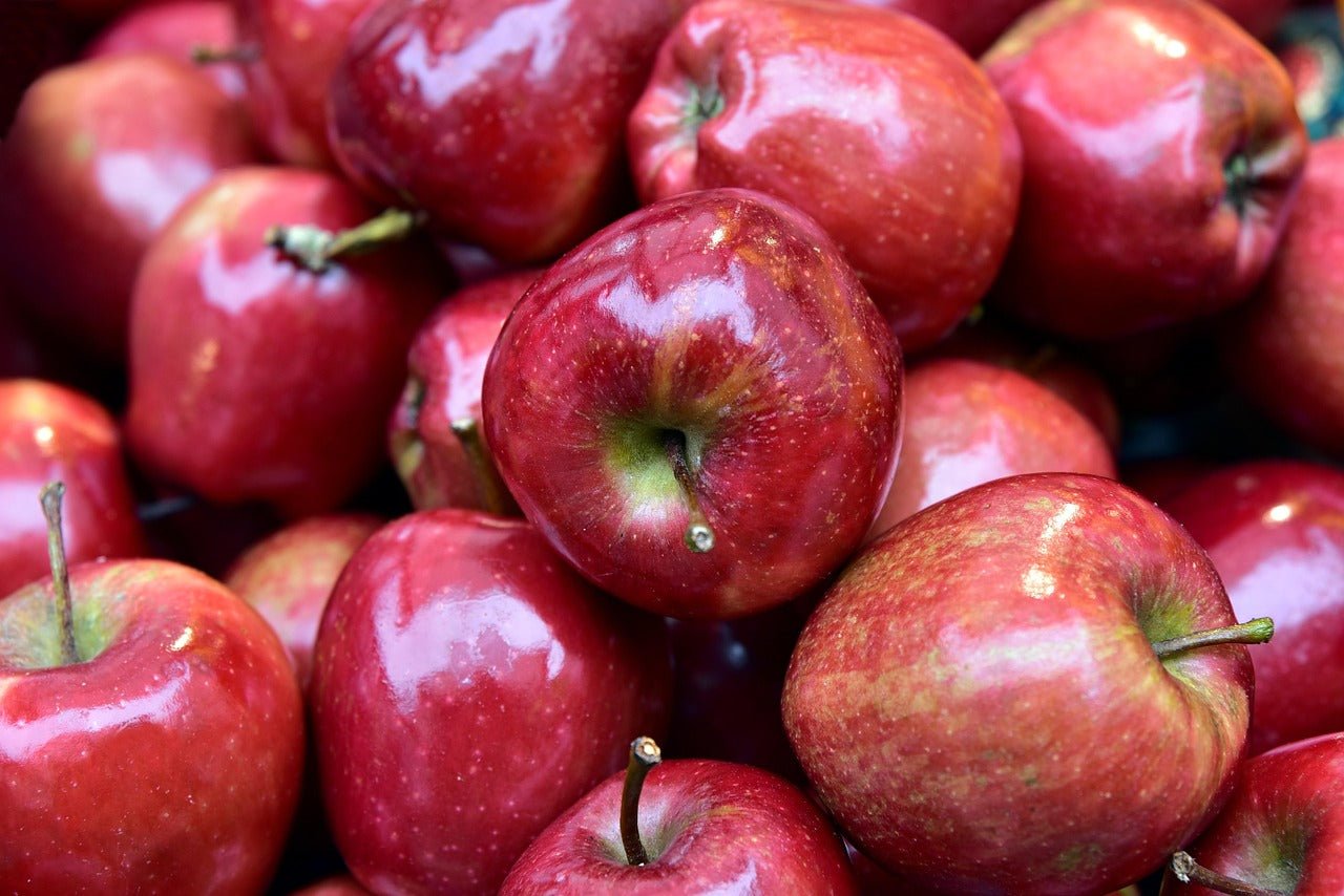 How to Keep Apples Fresh: Tips and Tricks for Long-Term Storage - Maria's Condo