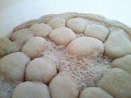 Is Yeast the Same as Leaven? Understanding the Difference - Maria's Condo