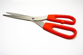Kitchen Scissors: The Versatile and Essential Tool for Every Chef - Maria's Condo