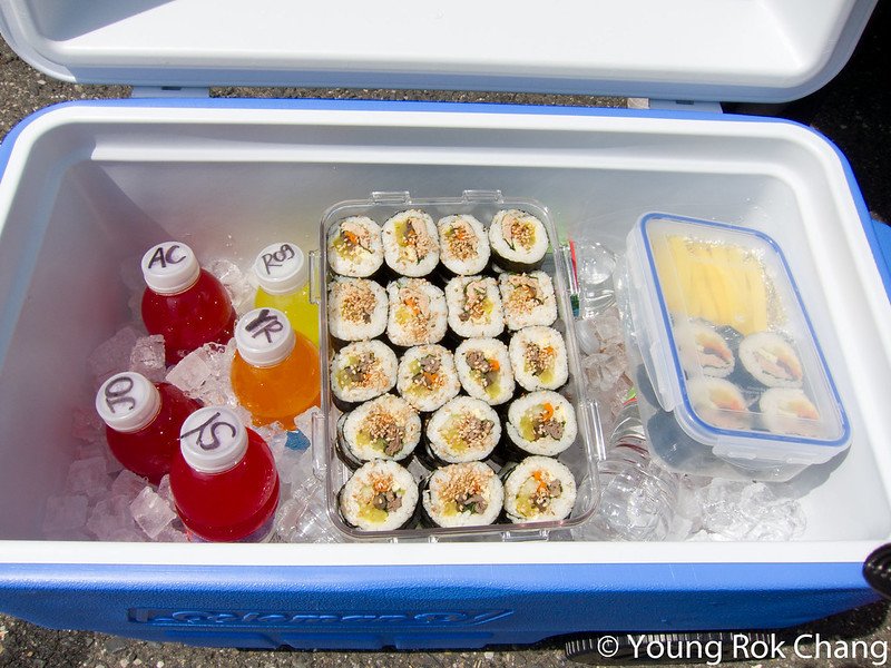 Are Coolers Really Airtight? Exploring the Facts Maria's Condo