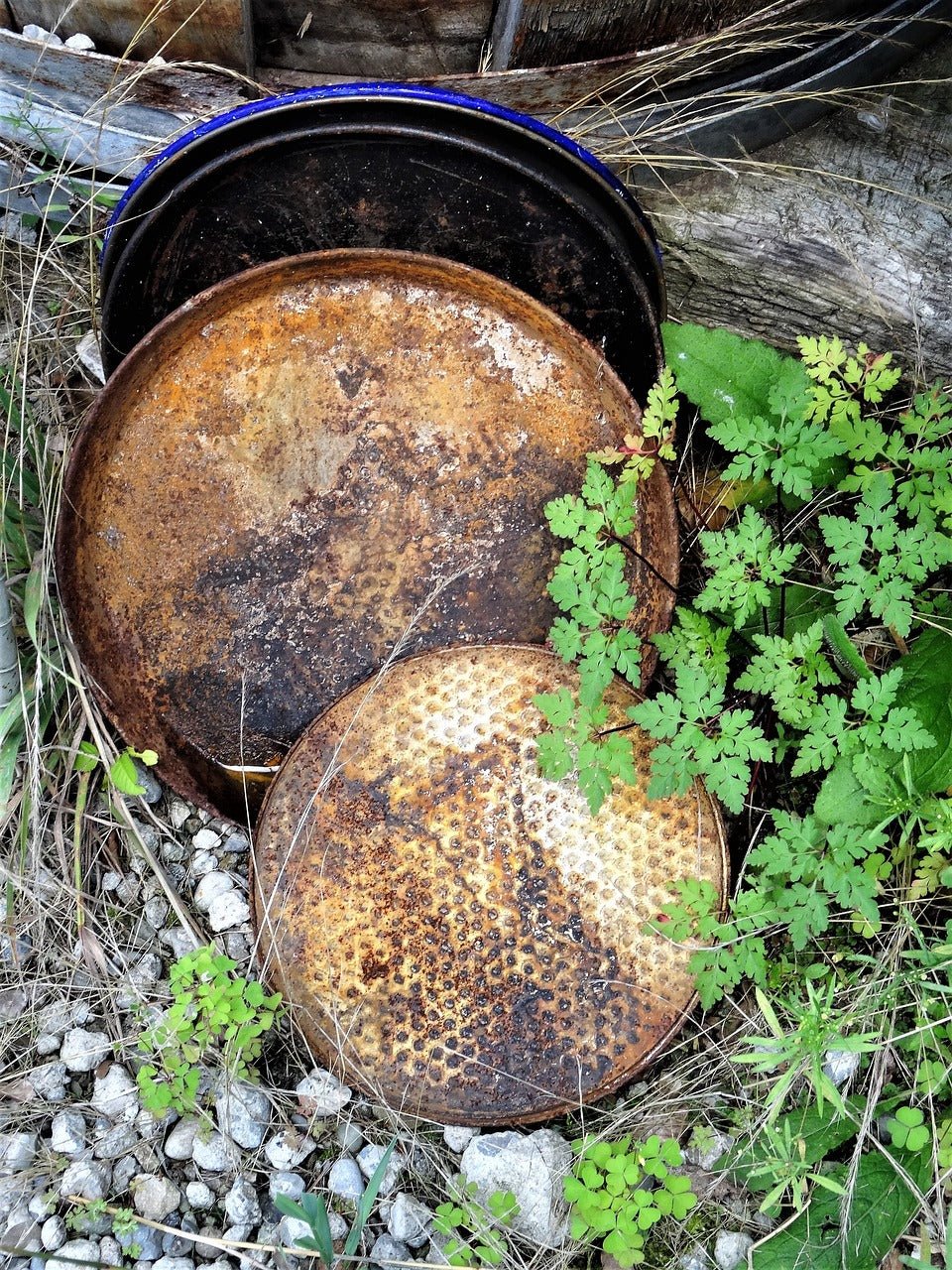 Can Stainless Steel Pans Rust? The Truth Revealed Maria's Condo