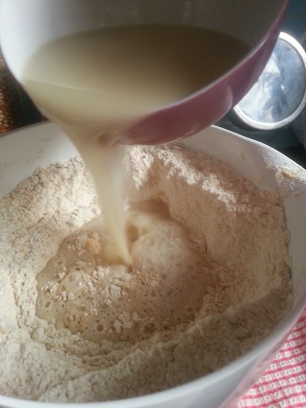 The Fascinating World of Baker's Yeast - Maria's Condo