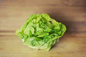 The Ultimate Guide to Choosing the Best Lettuce Dryer for Your Kitchen - Maria's Condo