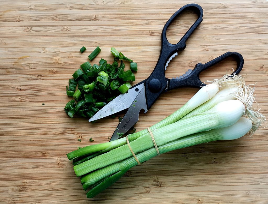 Why Do Scissors Have a Hook? Understanding Its Function and Design